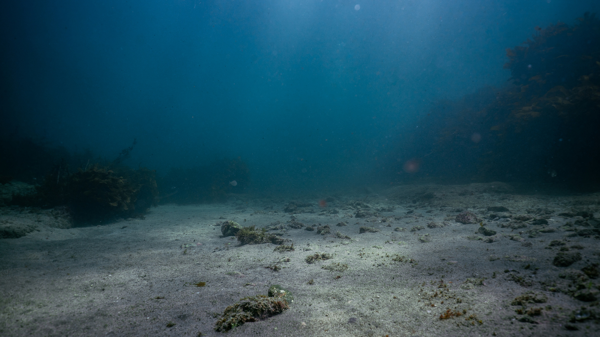 Antes de la Expedición Five Deeps (FDE), las partes más profundas de algunos océanos eran relativamente bien conocidas, como el Abismo Challenger en la Fosa de las Marianas, pero otras tenían múltiples “profundidades” donde varios emplazamientos pugnaban por ser el punto más profundo de ese océano en particular (Getty)