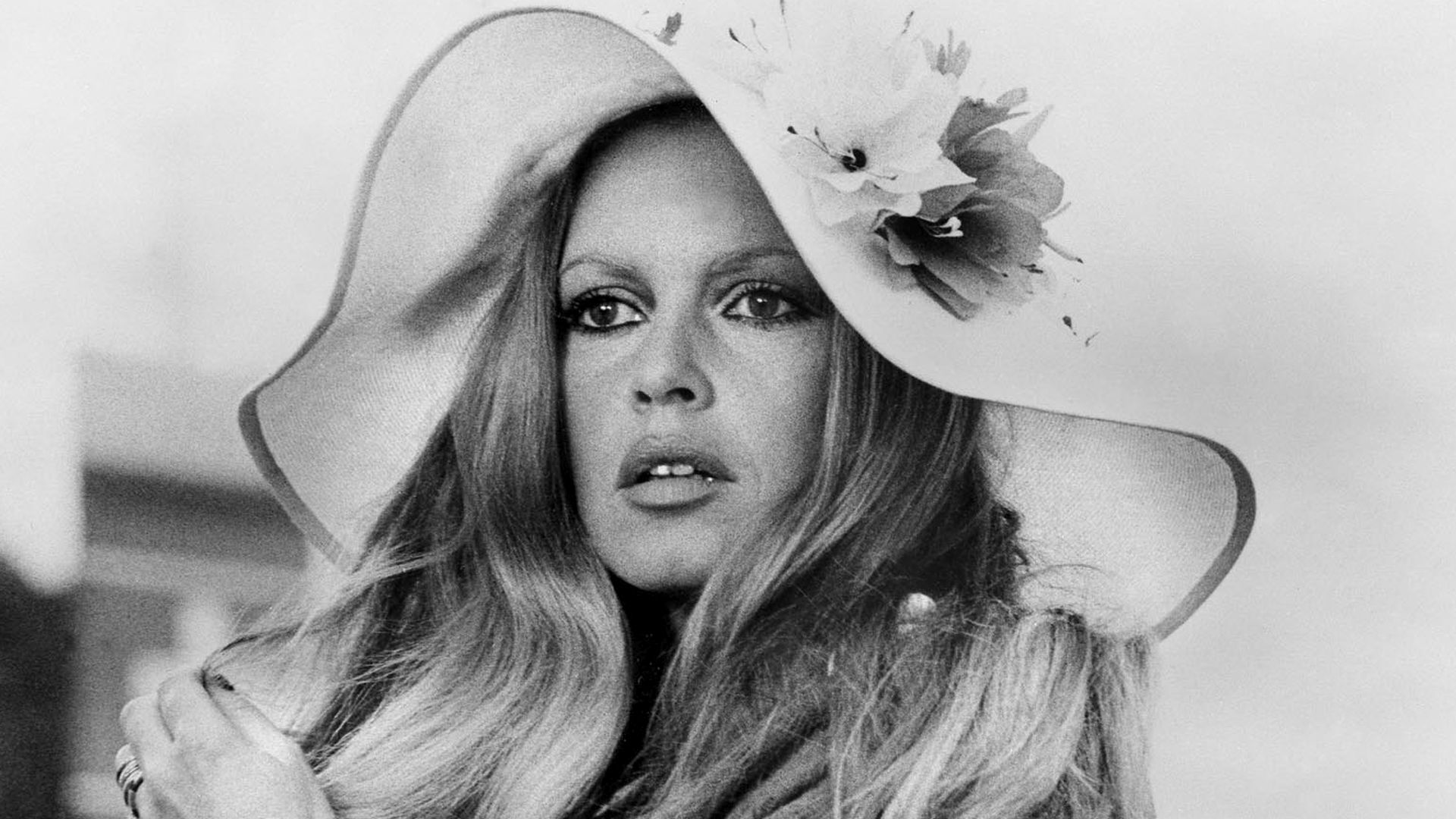 En menos de una semana decomisan en Chile droga de Bolivia en madera y soja de exportación