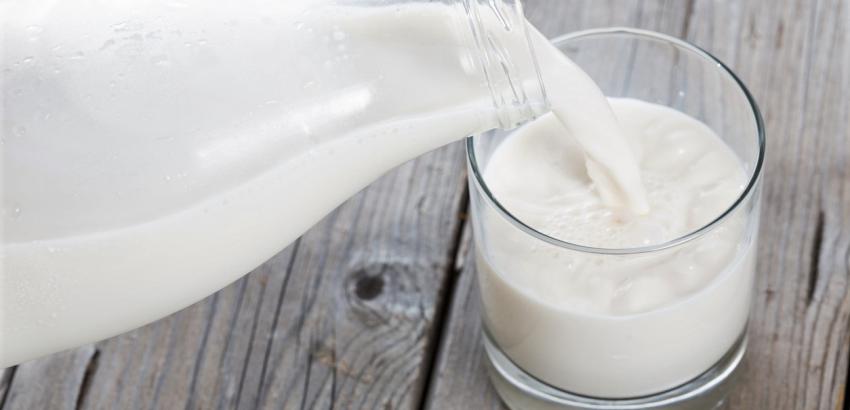 Algunas marcas de leche no cumplen con lo prometido en sus etiquetas
Consumo de leche