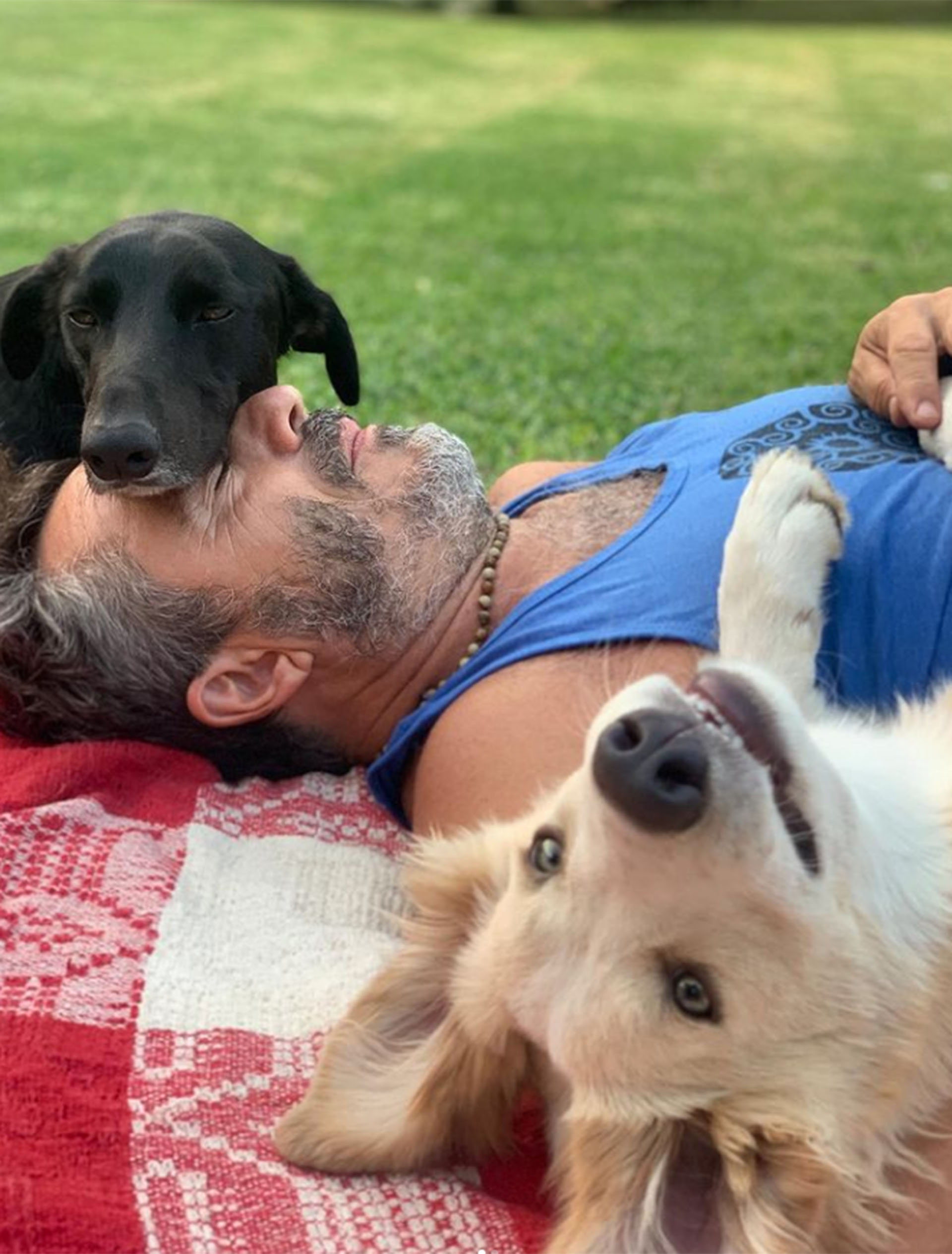 Pablo Granados y sus perros