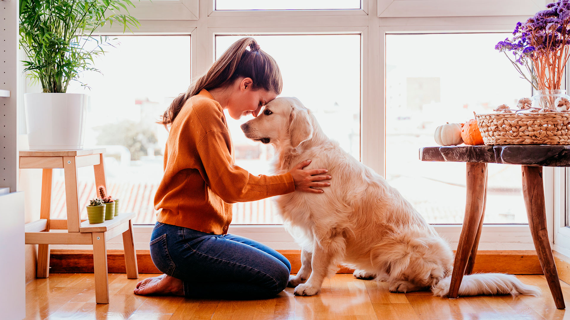 Un perro también puede diferenciar a las personas que hablan con él por su voz (Foto: Shuterstock)