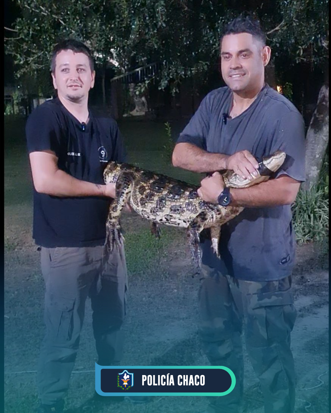 El Senado debatirá mañana la reforma de la Ley de Glaciares en un escenario con votos ajustados