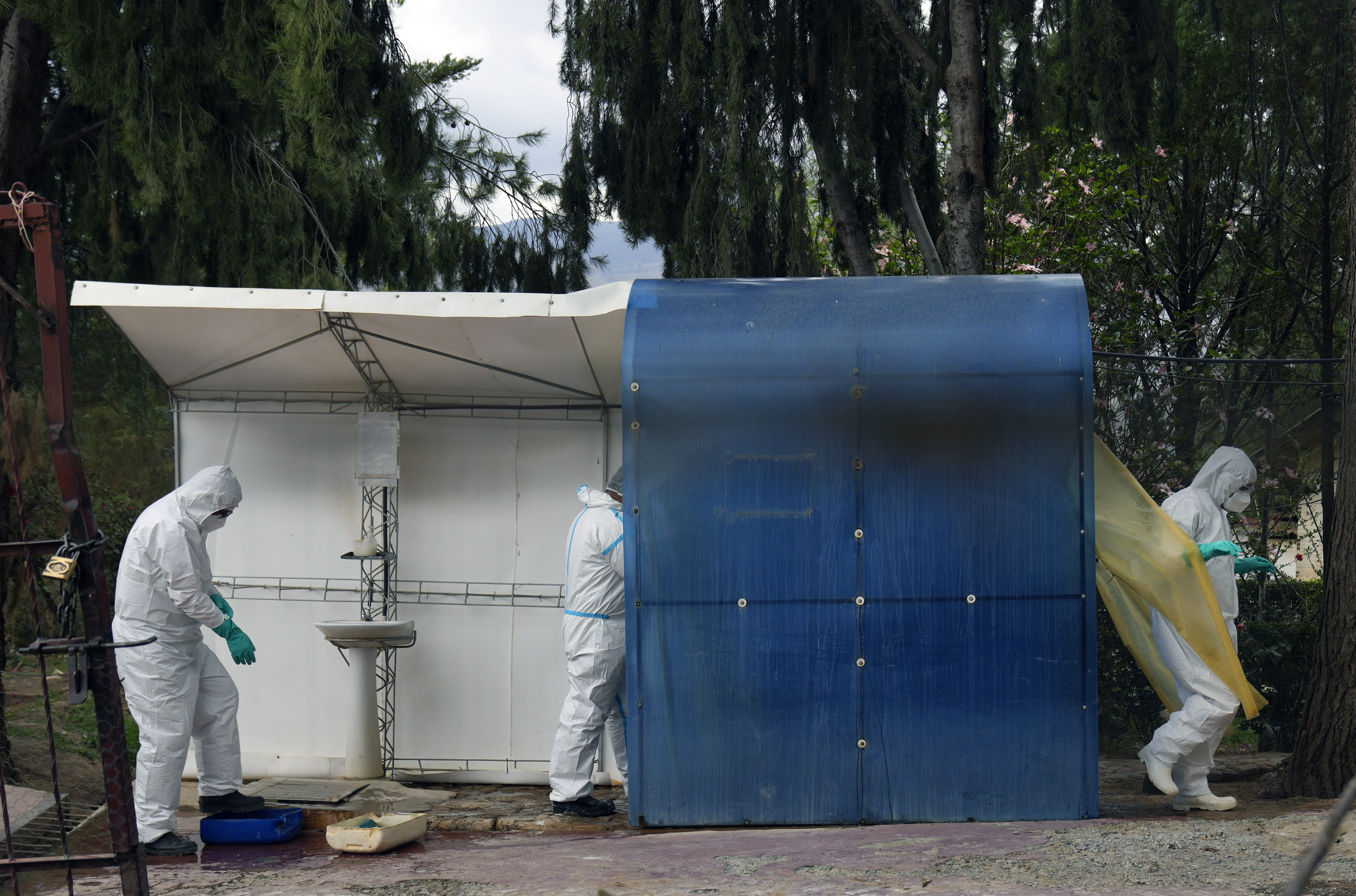 Trabajadores sanitarios, vestidos con equipos de protección, pasan por una cabina de desinfección antes de entrar a una granja de gallinas  afectadas por gripe aviar en Bolivia (AP Foto/Juan Karita)