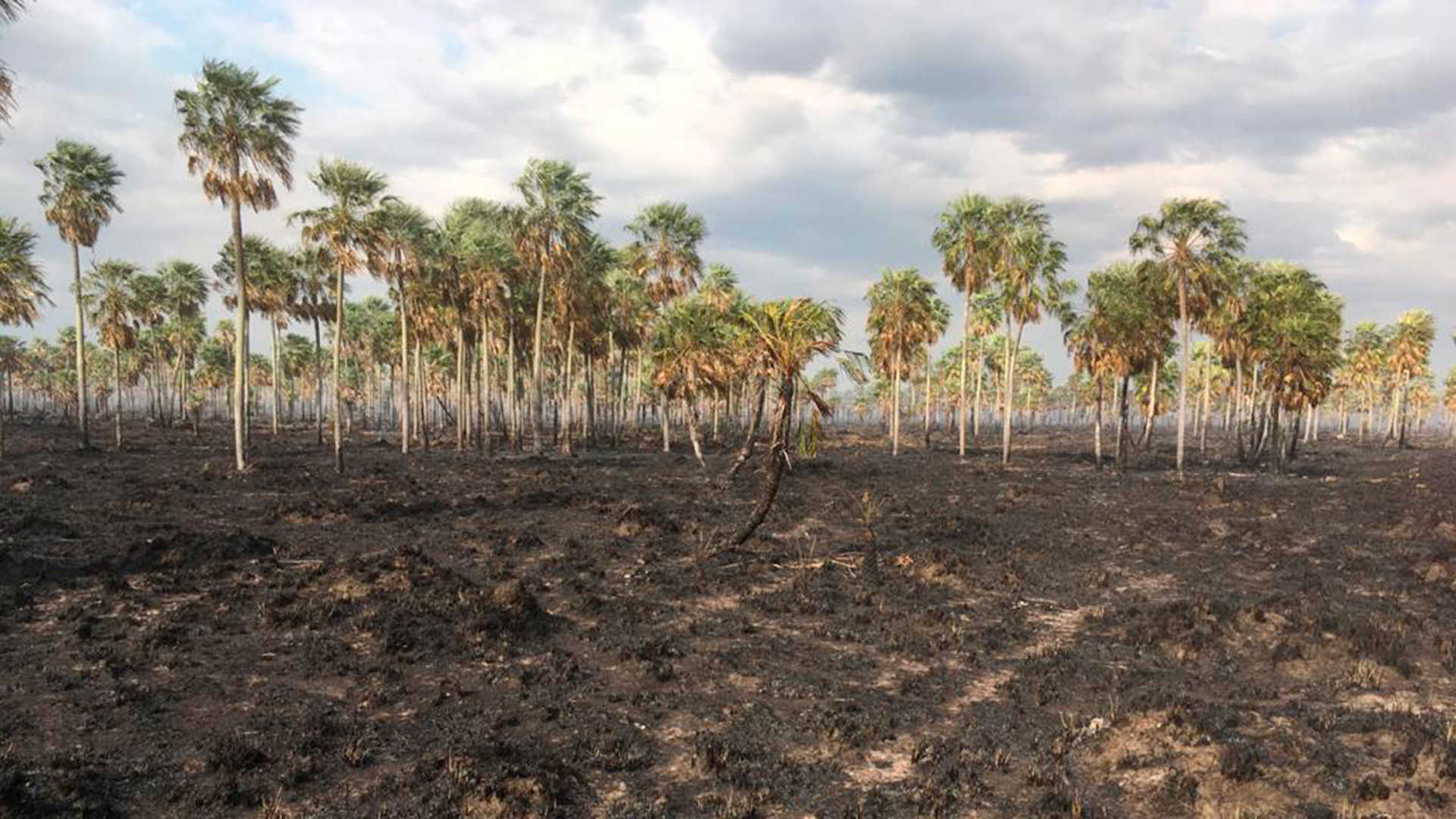 La Sequía Y Los Incendios En El Nea No Dan Tregua Y Complican A La