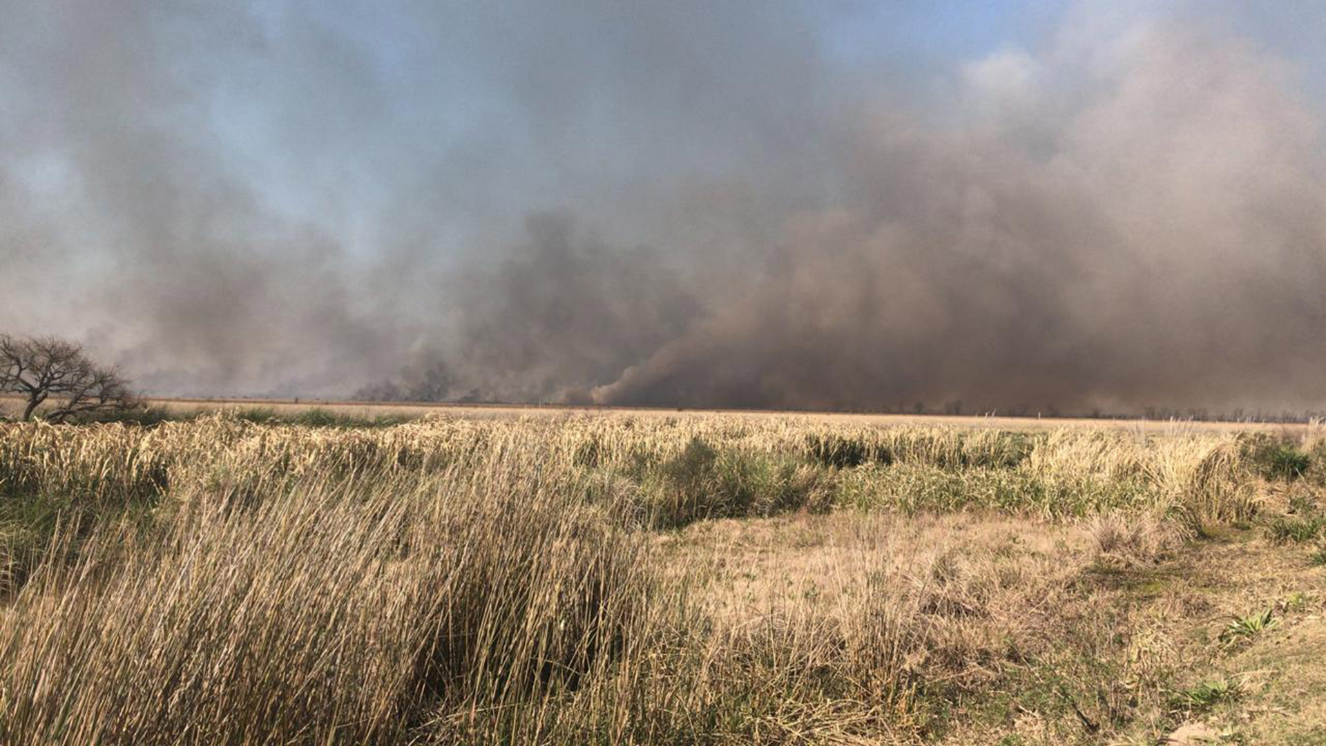 Incendio de pastizales en el Delta