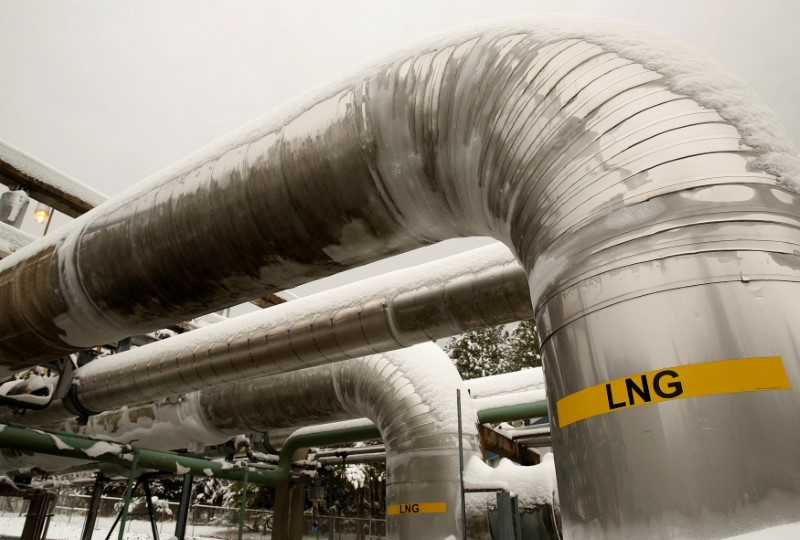 FOTO DE ARCHIVO: Líneas de transferencia cubiertas de nieve se ven en la terminal de gas natural licuado (GNL) de Dominion Cove Point en Lusby, Maryland, Estados Unidos. 18 de marzo, 2014. REUTERS/Gary Cameron/Archivo