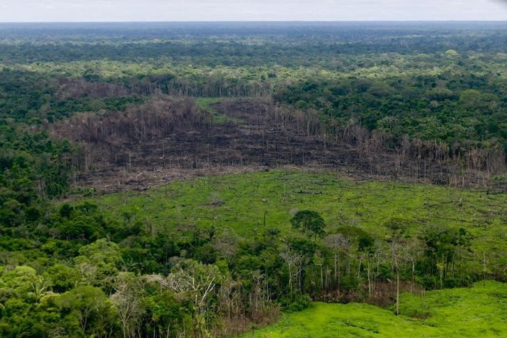 Uno de los factores que impulsan el cambio climático es la deforestación: al encontrarse con menos captadores de dióxido de carbono, los gases de efecto invernadero aumentan en la atmósfera / REUTERS