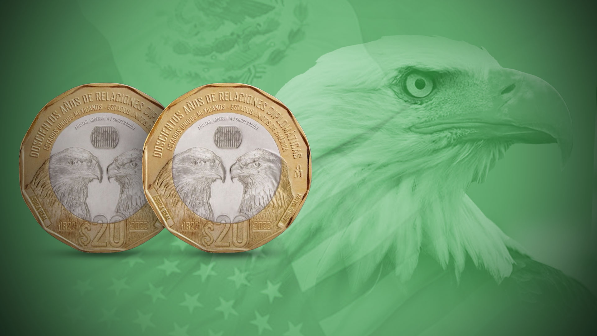 Dónde comprar las monedas conmemorativas de 20 pesos que se venden en  millones? - Infobae