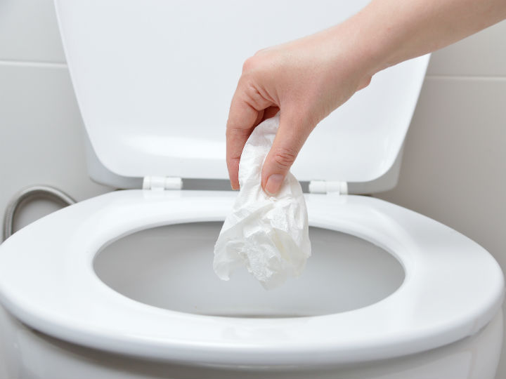 Teoría de la relatividad Masculinidad Consejos El papel higiénico debe tirarse en la basura o en el inodoro? - Infobae