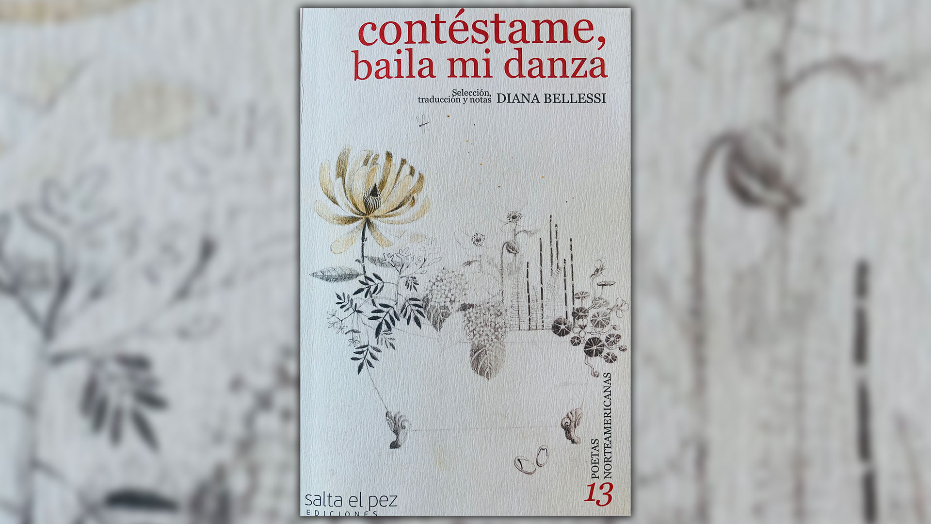 Contéstame, baila mi danza. La antología de poetas norteamericanas compilada por Diana Bellessi