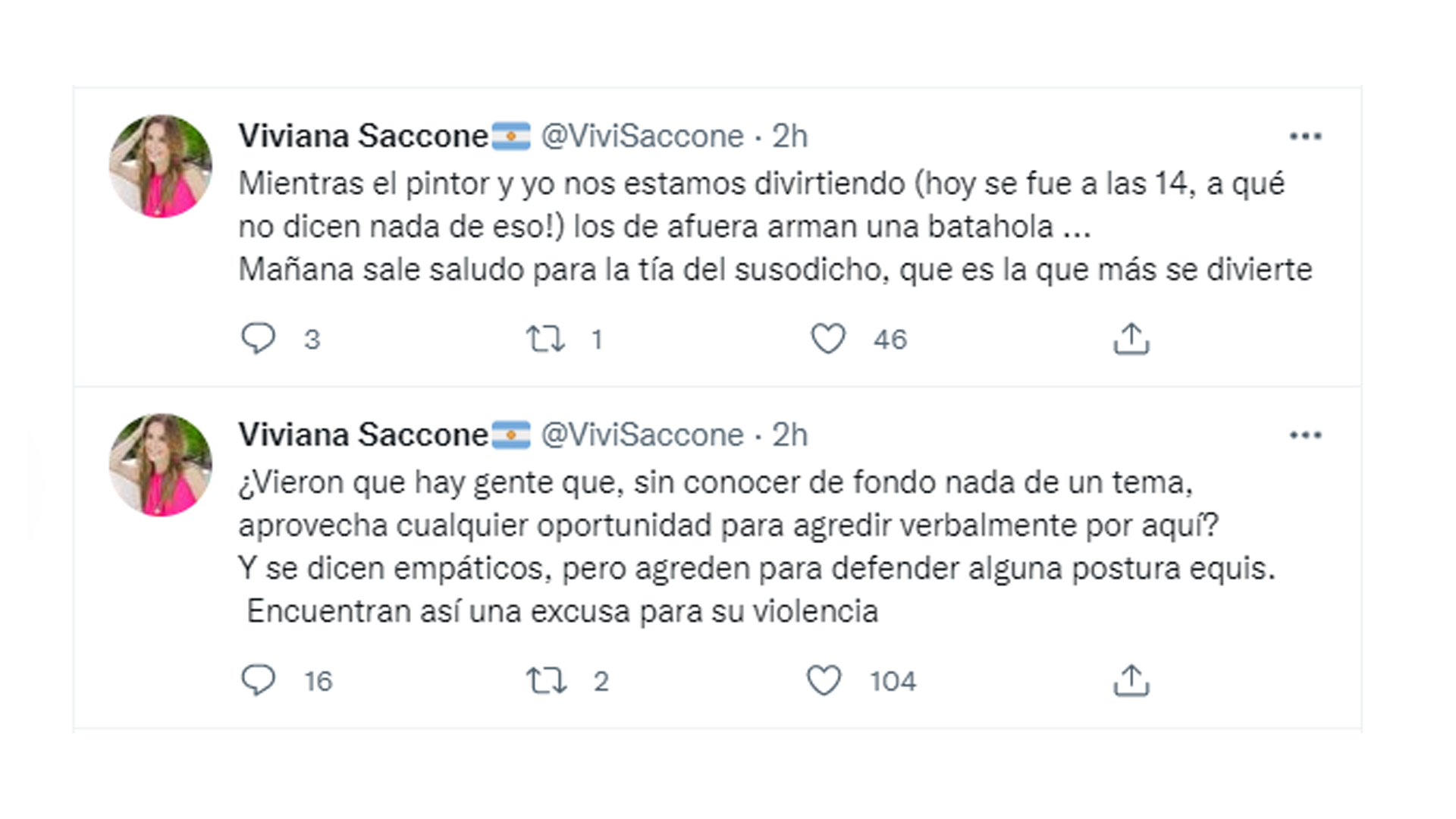 Viviana Saccone's reflection after receiving criticism for her tweet about the painter