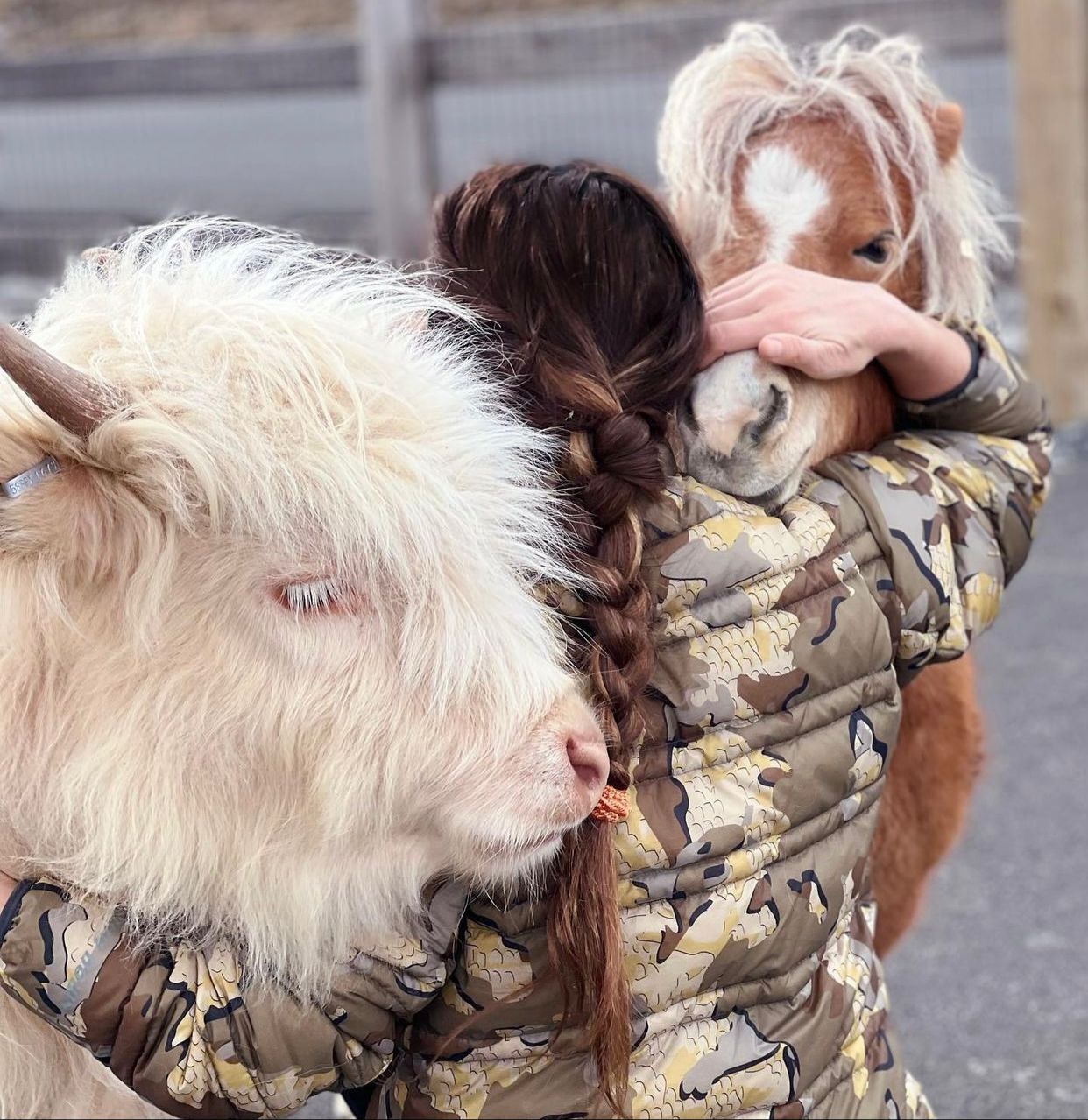 Thalía constantemente presume la afectiva relación que sostiene con sus vacas y burros.
(Foto: Instagram/@thalia)