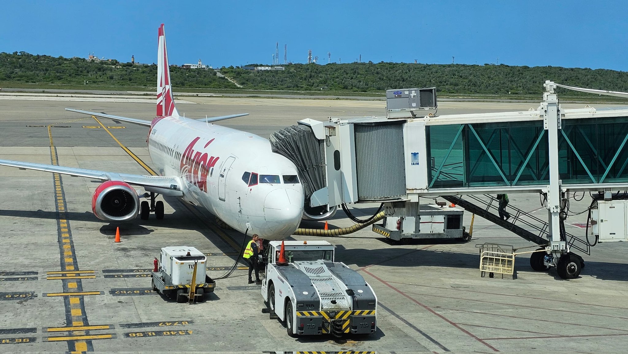 En enero se vendió casi la mitad de los autos eléctricos que en todo 2025: qué modelos lideran el ranking