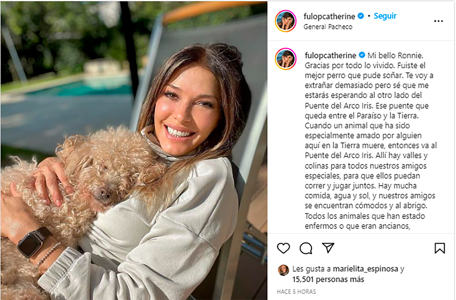 The post Catherine Fulop shared on her networks to fire Ronnie, her dog (Photo: Instagram)