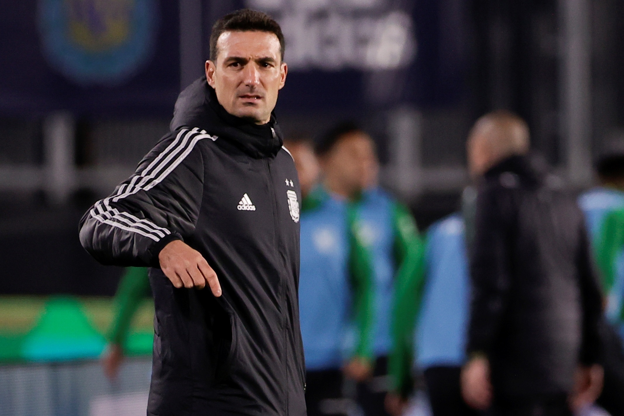 El Año En Que Lionel Scaloni Pasó De Ser Discutido A Entrenador Récord De La Selección Infobae