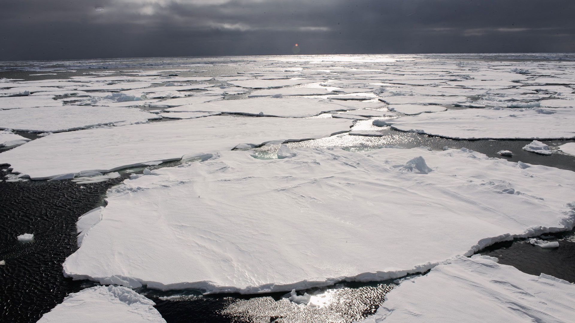 Expedición para recongelar el Ártico: el ingenioso método científico que busca evitar la desaparición del hielo polar - Infobae