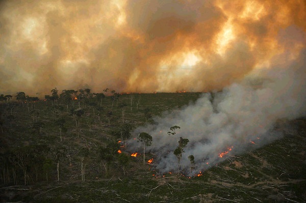 Una imagen de julio de 2020 del incendio forestal en el Amazonas de Brasil (Europa Press)