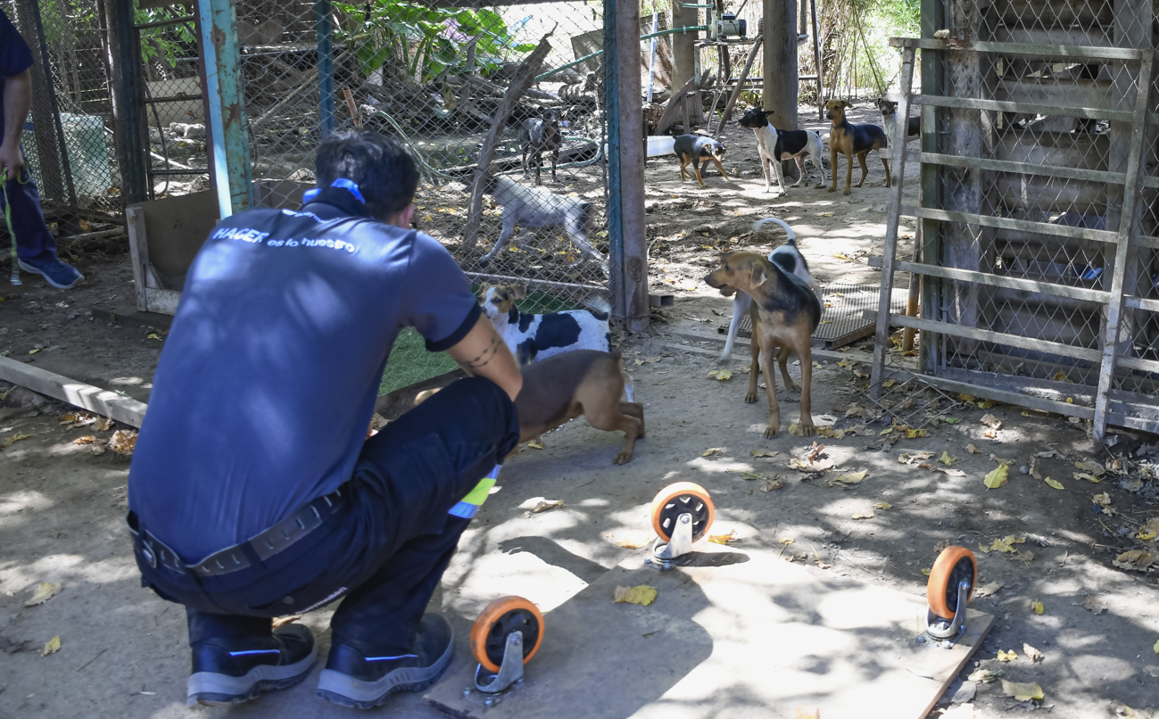 China impuso aranceles del 15% al carbón y gas de EEUU en respuesta a las tarifas del 10% que Trump aplicó a sus productos 