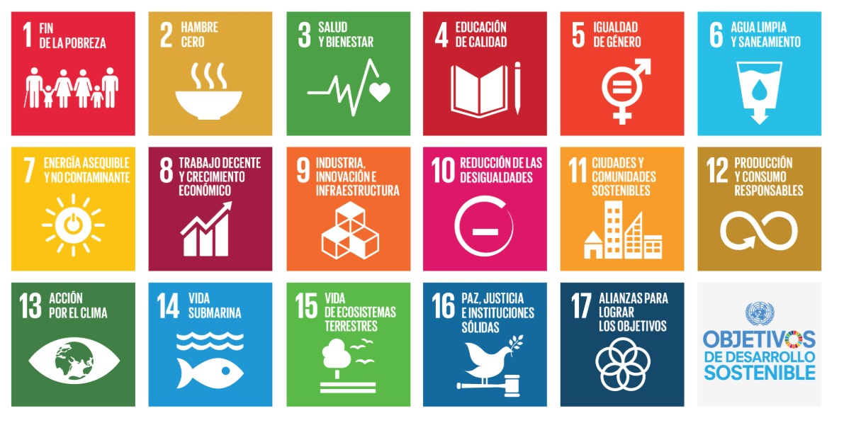 Los 17 objetivos de desarrollo sustentable (ODS) planteados por la ONU para combatir la desigualdad en el mundo. 