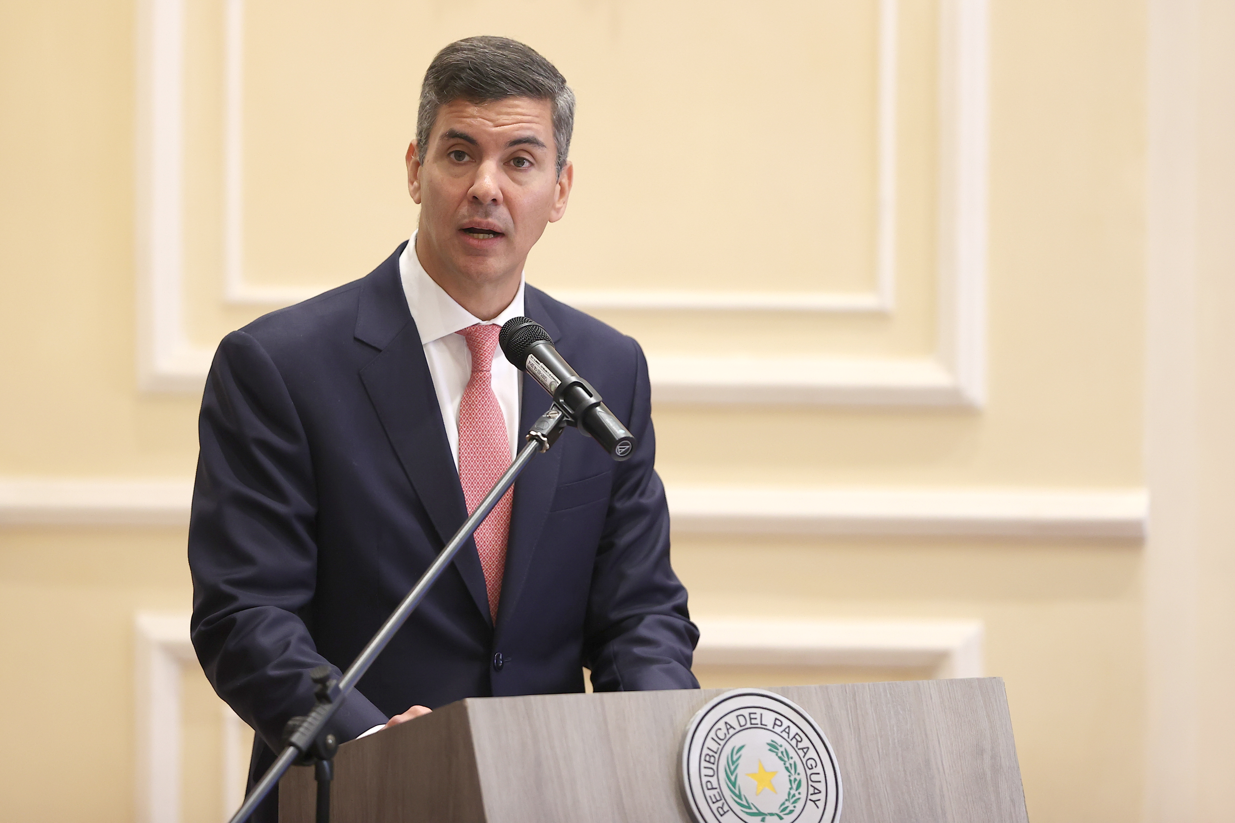 Paraguay pidió al Mercosur garantizar una "participación equitativa" en las cuotas de exportación hacia la UE 