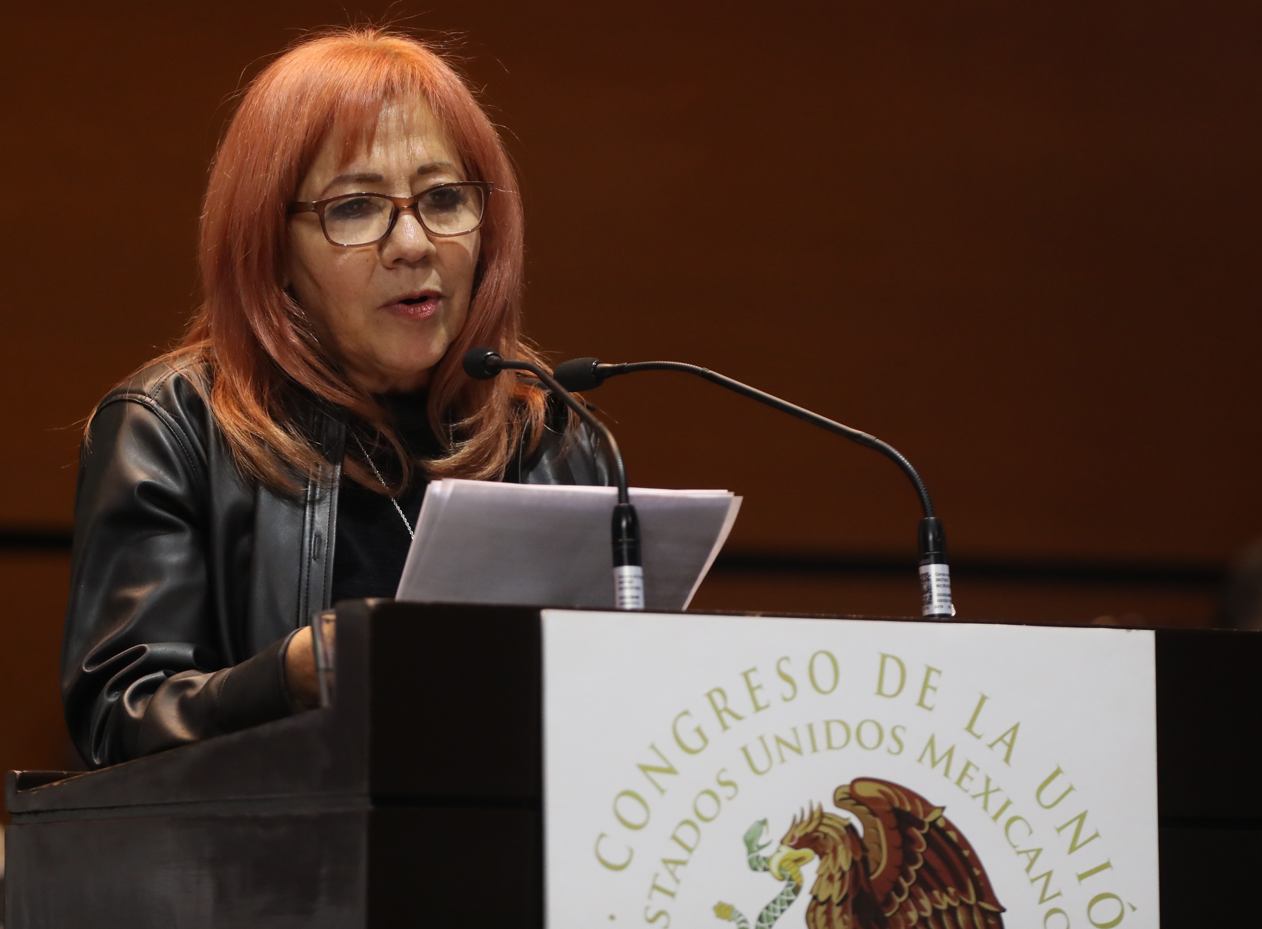 Rosario Piedra Ibarra presentó su Informe de Actividades 2021 (Foto: EFE / Mario Guzmán)