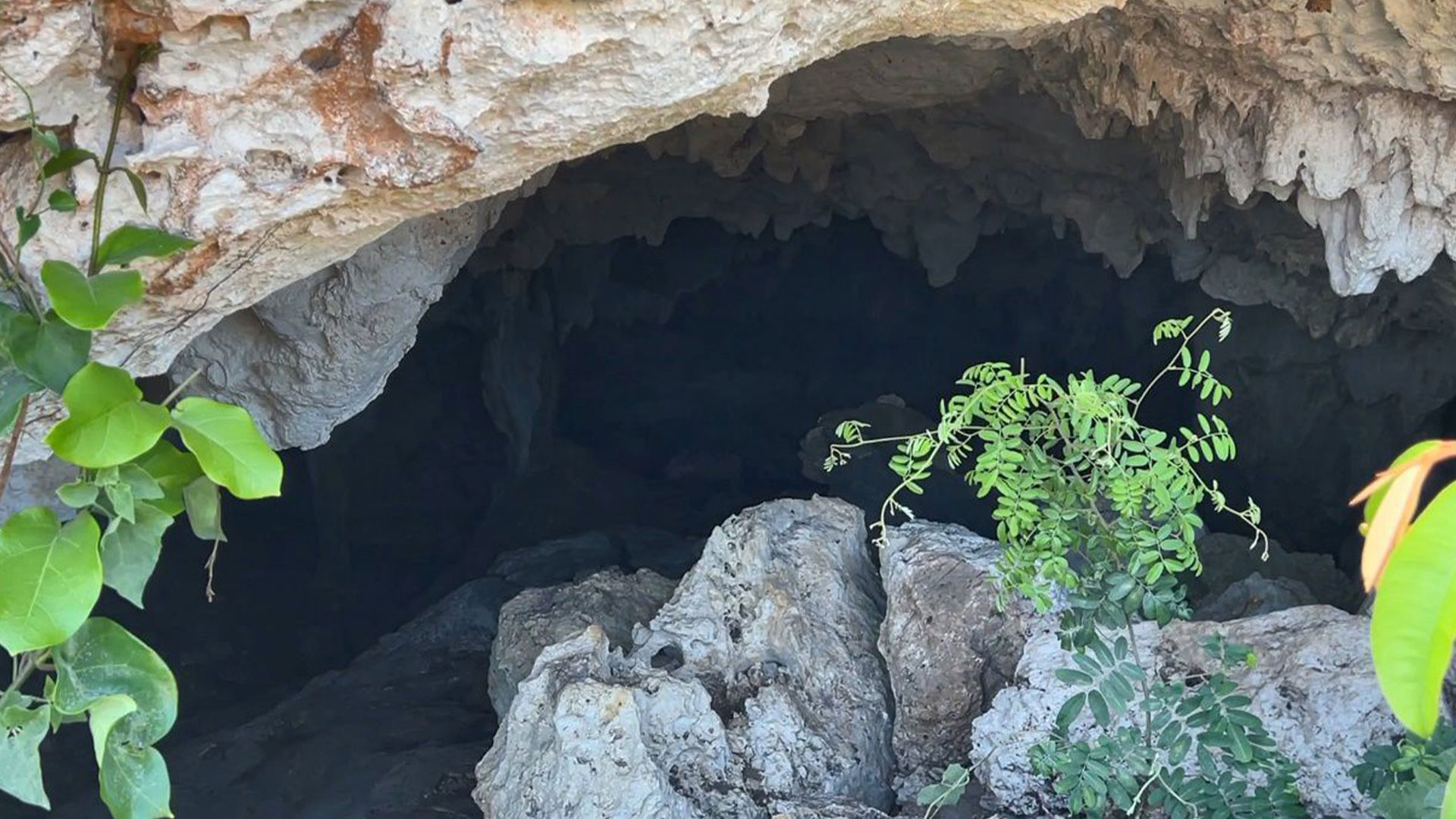 INAH respondió a acusaciones de daño en cueva Dama Blanca por el Tren Maya  - Infobae