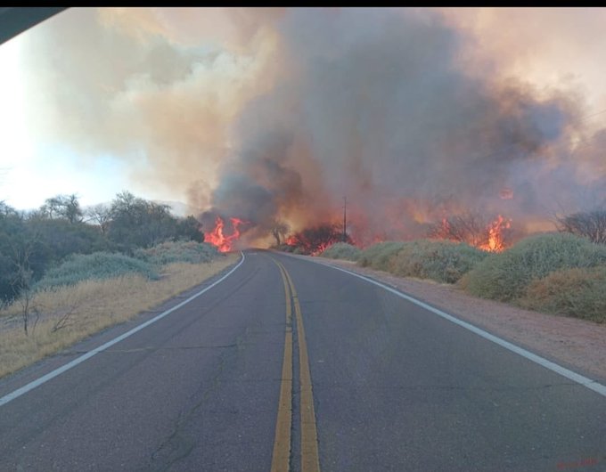Incendio en Cafayate: se registraron m&aacute;s de 200 hect&aacute;reas quemadas 
