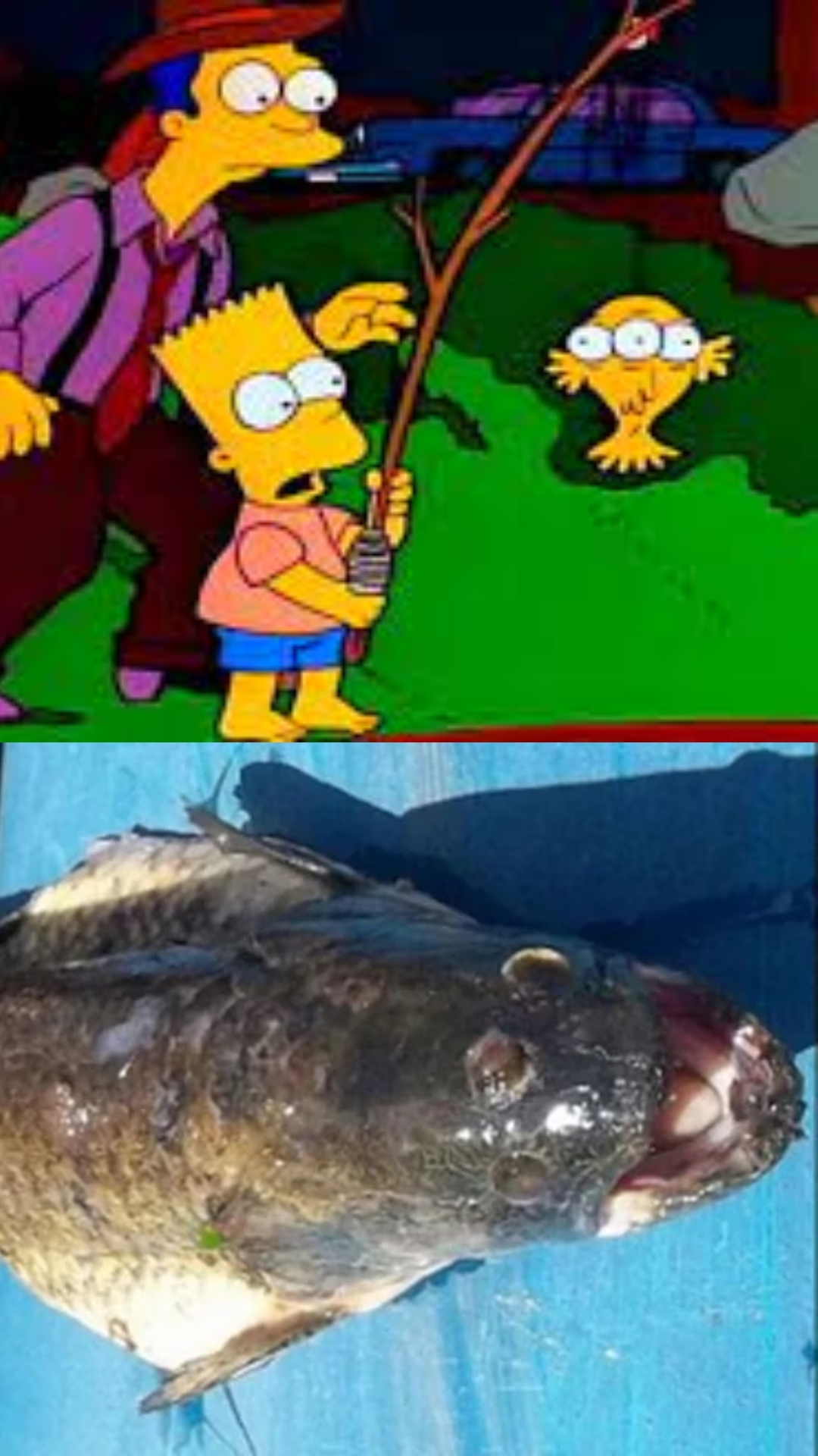 El pez de tres ojos resultó ser real. Fue encontrado cerca de una planta nuclear de Argentina
