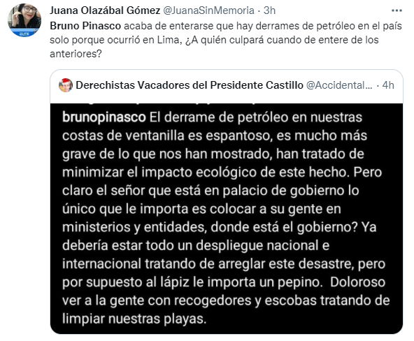 Críticas contra Bruno Pinasco por opinar sobre derrame de petróleo. (Foto: Twitter)