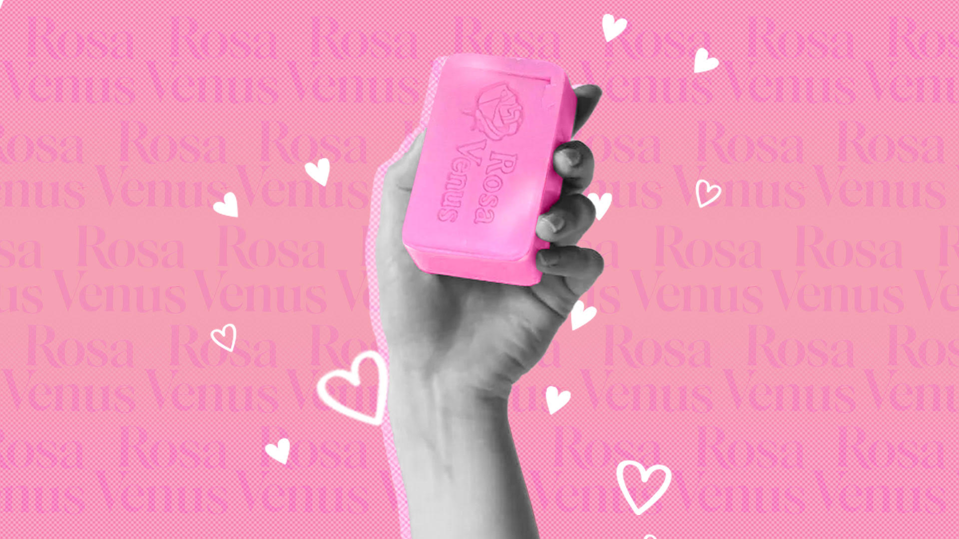 Rosa Venus, el “jabón chiquito” de los enamorados, su historia y cuáles son sus propiedades