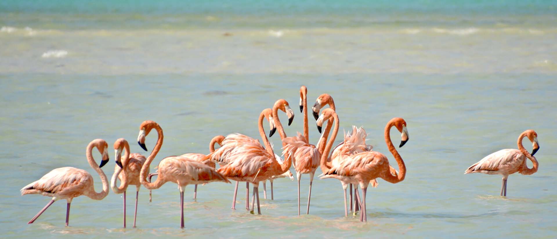 Su fauna se encuentra completamente habituada a la calma y la tranquilidad que se respira en la zona