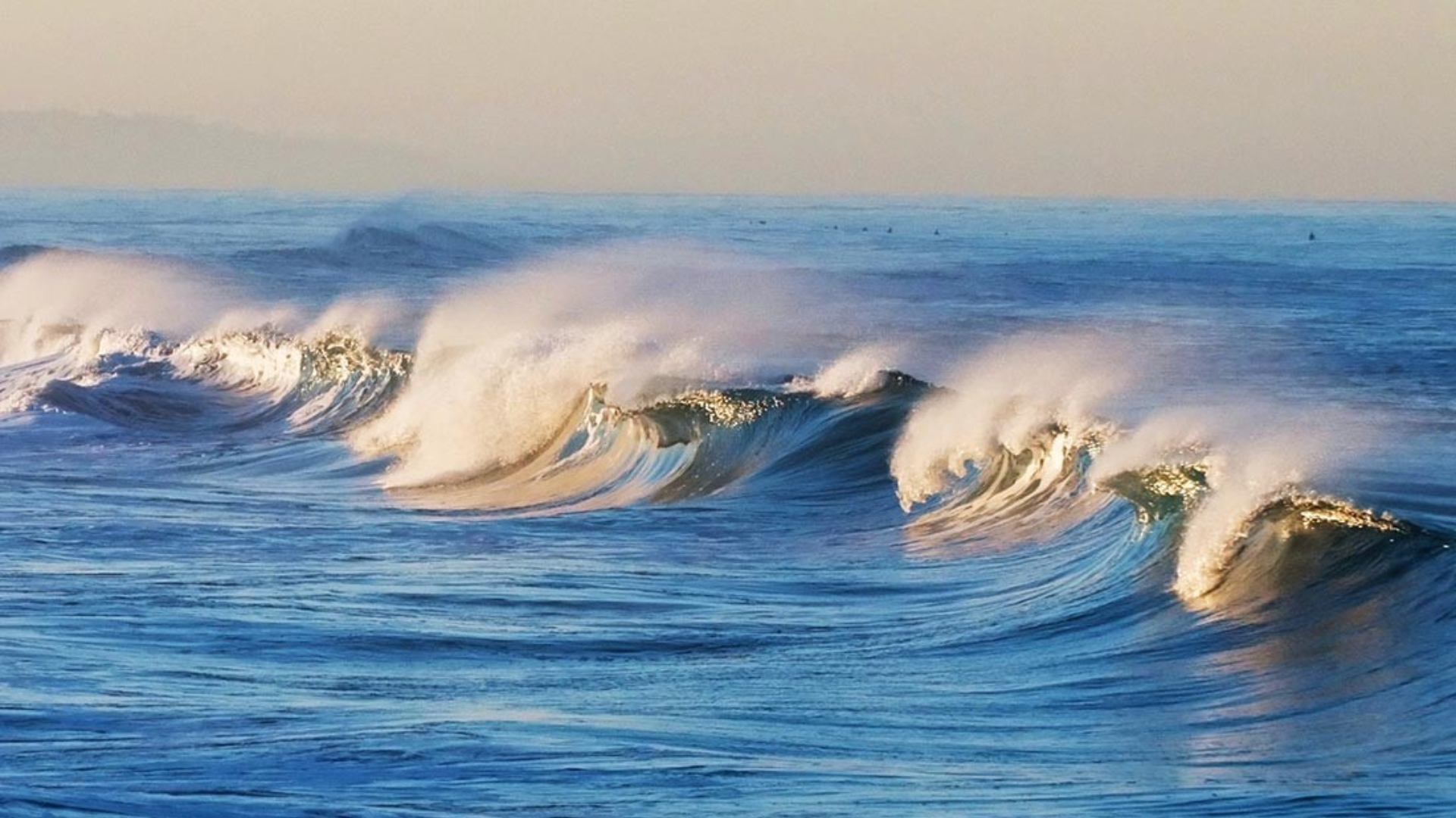 Las olas de calor marinas aumentarían por los fenómenos climatológicos. 
Foto: Nobbot