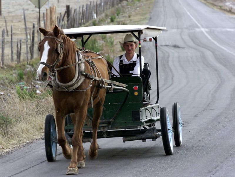 Un menonita del estado de Durango, conduce su carruaje tirado por caballos a lo largo de una carretera moderna fuera de su comunidad, 2003 (Foto: Henry Romero/Reuters)