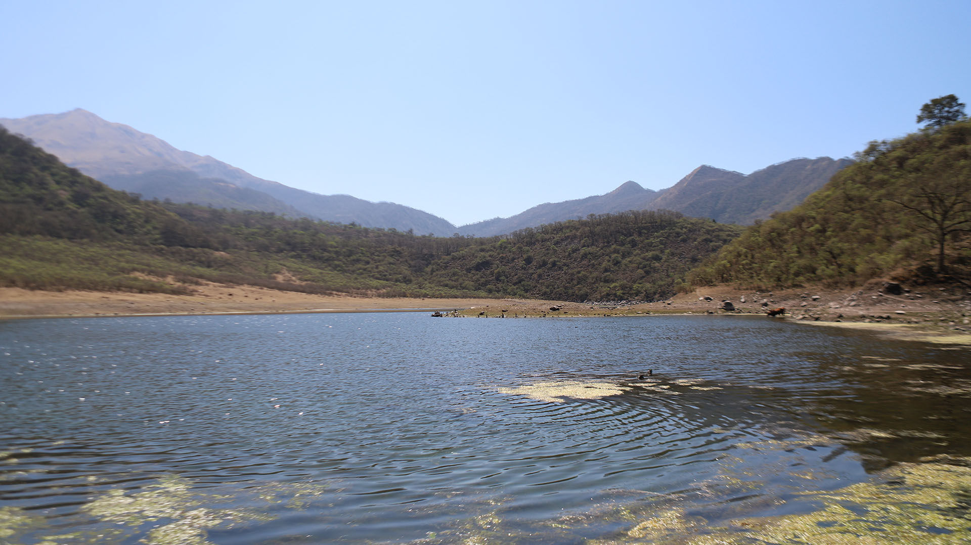 Uno de los tantos paisajes del Camino de las lagunas, en el Parque Provincial Potrero de Yala (Crédito: Lihueel Althabe y Matías Arbotto)