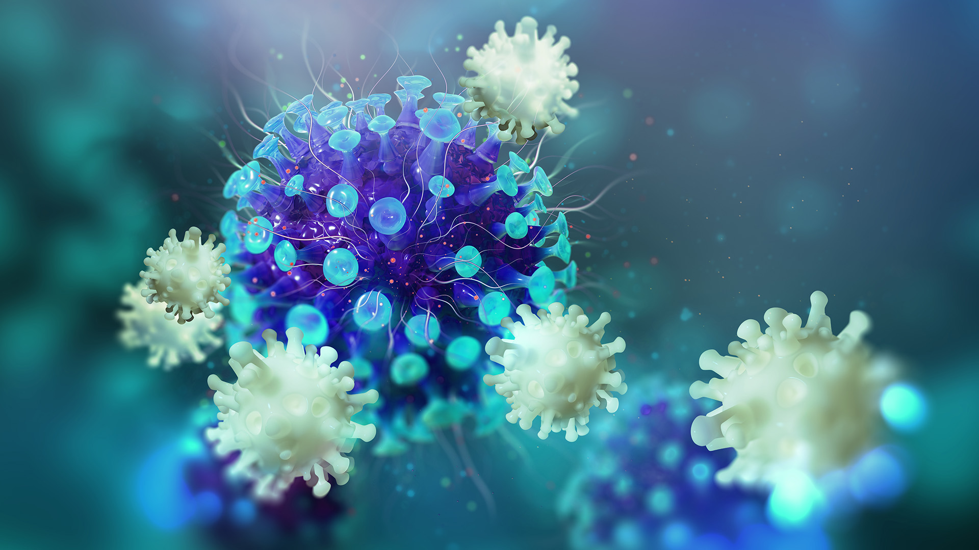 Según un estudio, los casos leves de la enfermedad por coronavirus pueden desencadenar respuestas sólidas de las células T (Shutterstock.com)