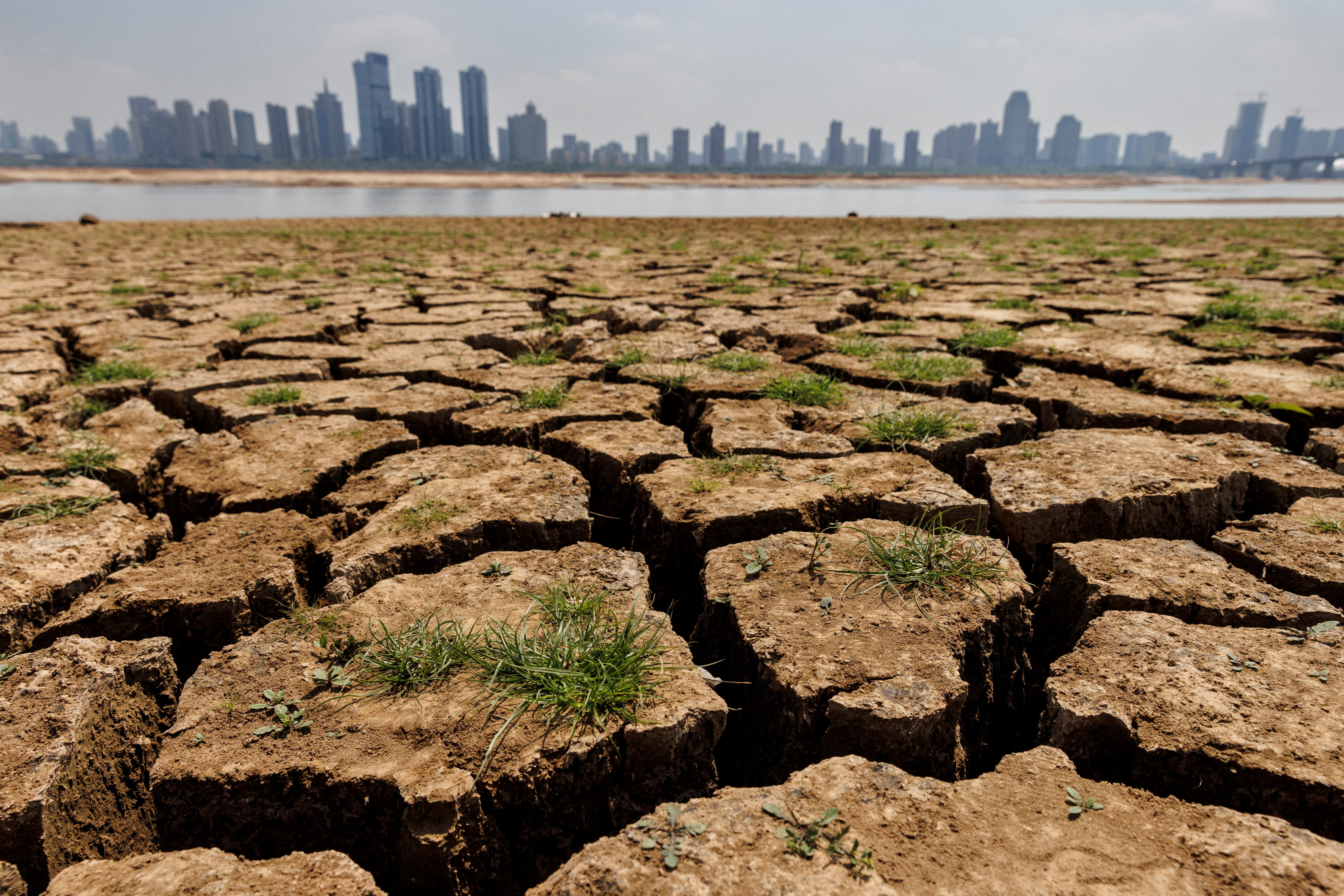Las sequías repentinas comienzan y se intensifican rápidamente (REUTERS/Thomas Peter//File Photo)