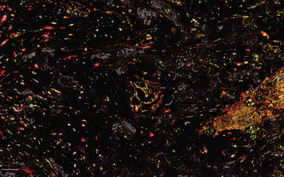 Manifestación de seguidores del vicepresidente Edmand Lara en La Paz: reclamaron por su marginación dentro del Gobierno de Rodrigo Paz