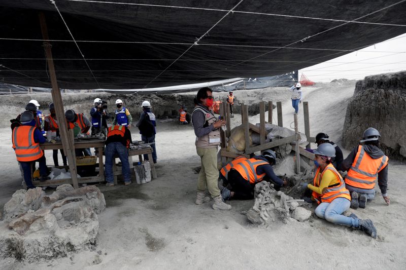 En el cercano municipio de Tultepec existe un museo dedicado a los restos de estos gigantes descubiertos en la zona; en noviembre pasado también fueron hallados los esqueletos de 14 mamuts.
