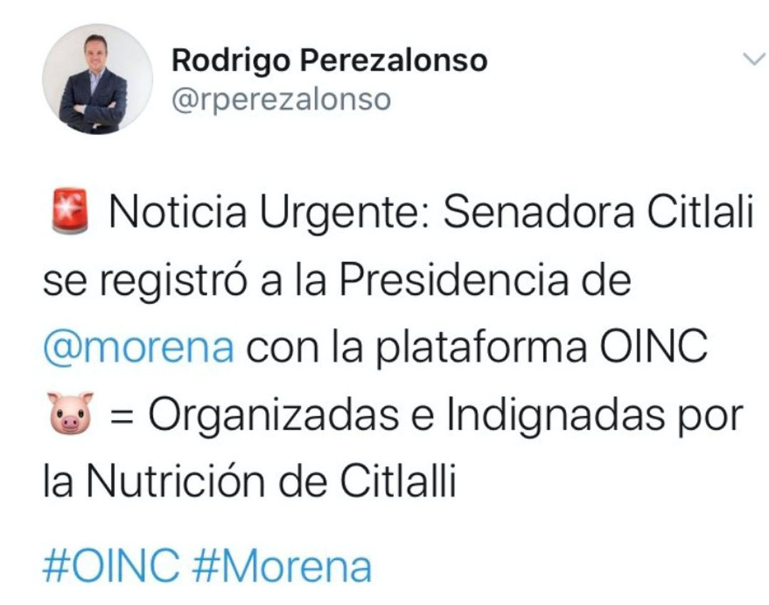 El académico de la IBERO se burló del aspecto de la senadora Citlali Hernández (Foto: Twitter/@rperezalonso)