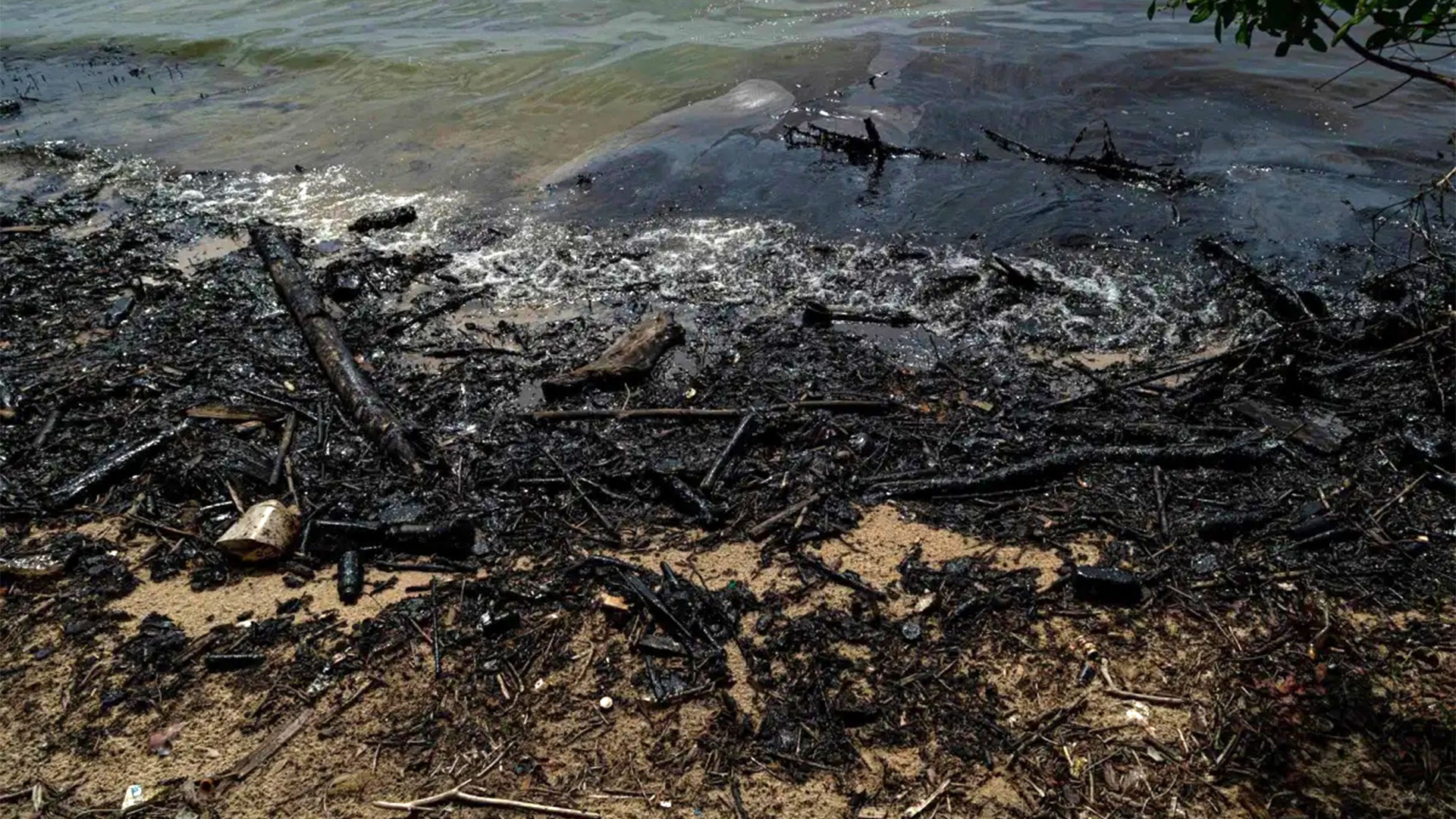Las alteraciones o perturbaciones más importantes a lo largo de la costa venezolana son los derrames petroleros, y la contaminación por aguas servidas y desechos sólidos (EFE/MIGUEL GUTIÉRREZ/Archivo)