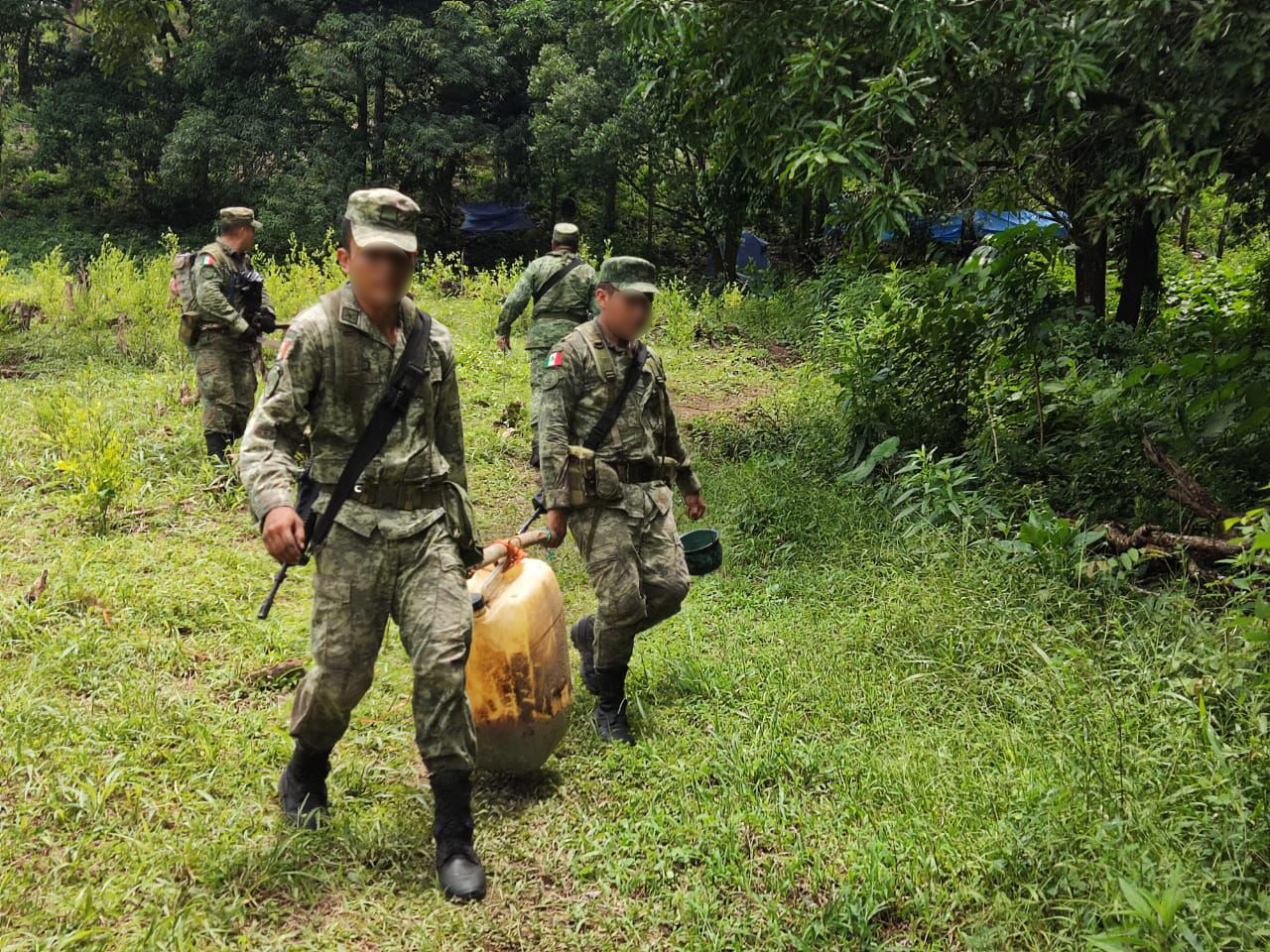 El Ejército ha detectado 21 plantíos de hoja de coca en Guerrero desde febrero del año pasado. (Gibrán Casas) 