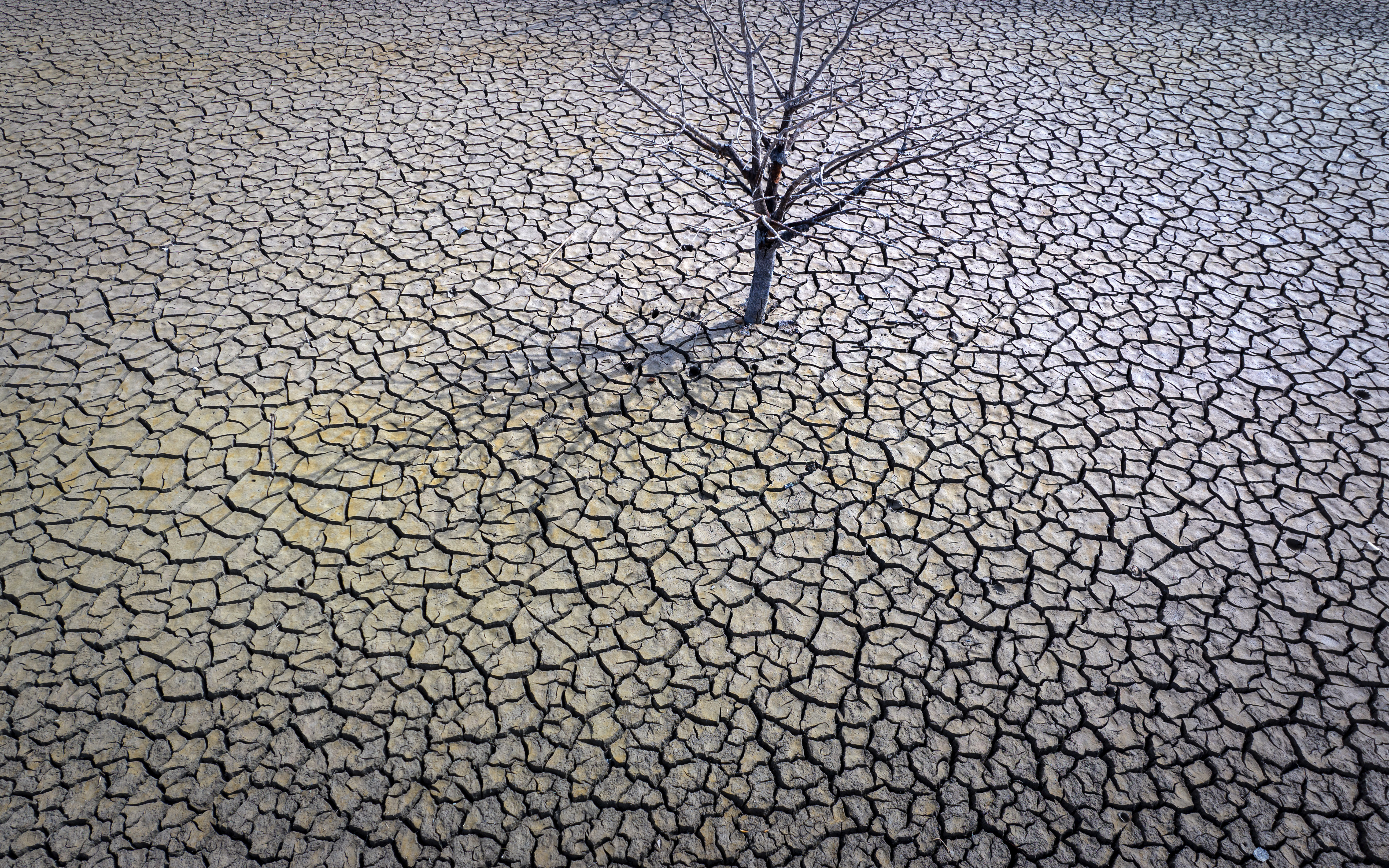 El año pasado, se produjeron 387 desastres ambientales en todo el mundo. El rol de Saulo es clave para una mejor prevención de las personas frente a los fenómenos meteorológicos que las pueden impactar (AP Foto/Emilio Morenatti, archivo)