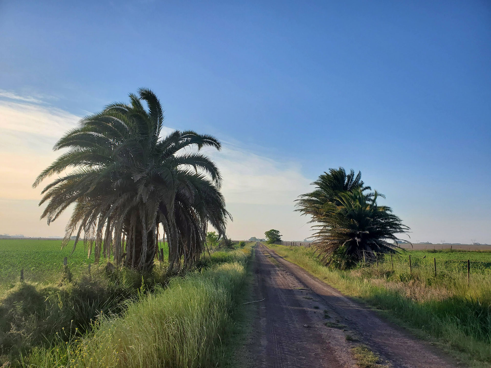 En la mano hacia Buenos Aires sale un camino de tierra que, conectando con otros, permite acceder a la localidad de Pérez Millán