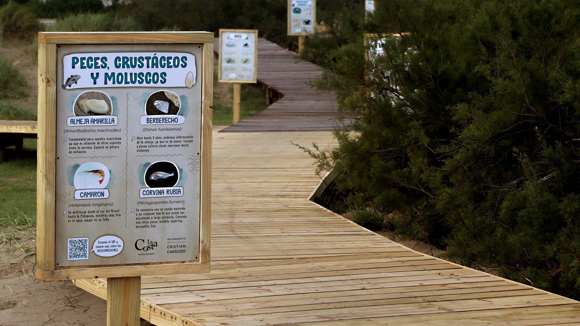 El año pasado las localidades que conforman el partido de La Costa obtuvieron alrededor de 6.552.000 ingresos, la mayor cantidad de visitantes anuales en su historia (La Costa)