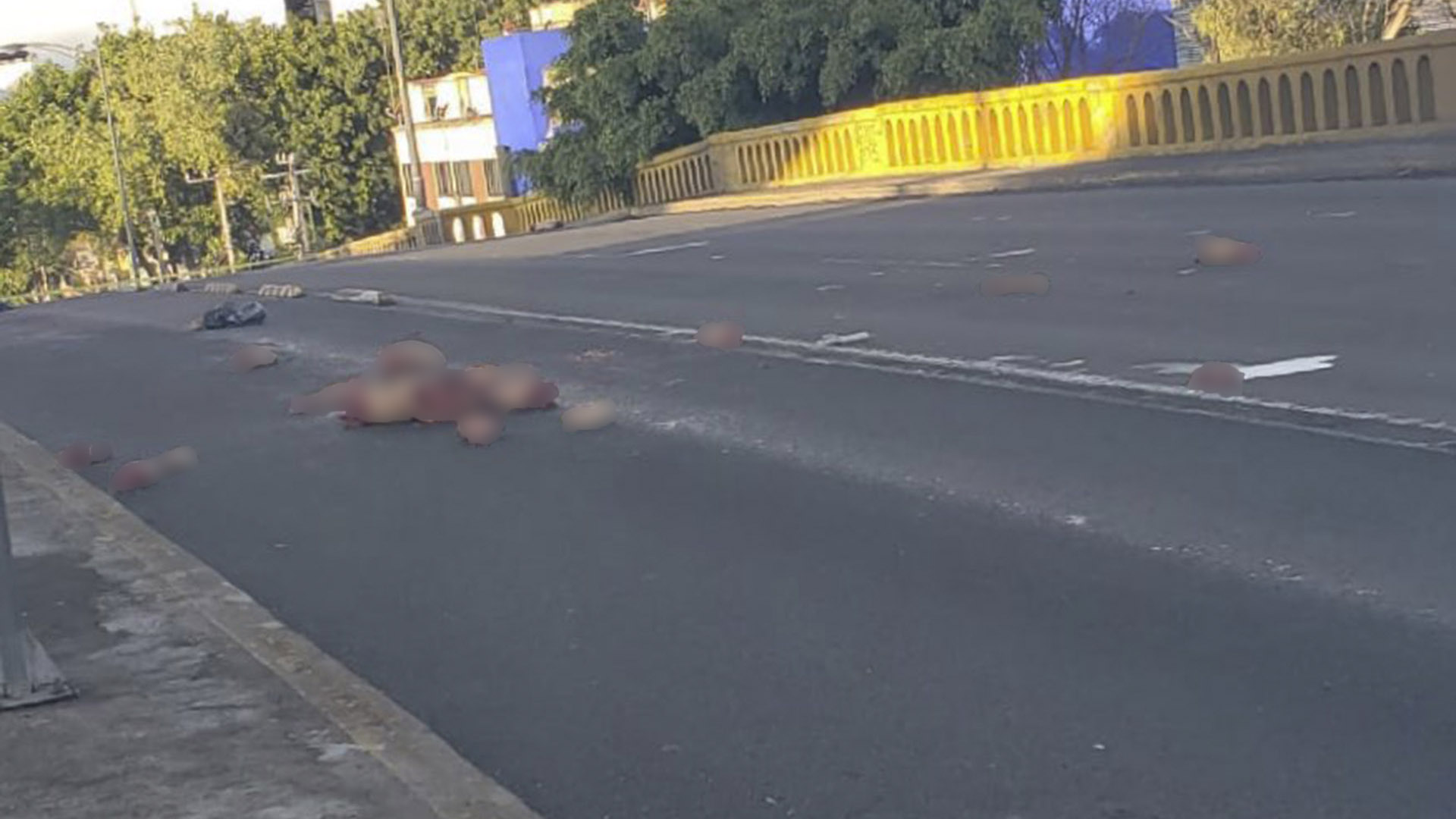 Agentes policiacos los encontraron alrededor de las 05:00 horas en la esquina de Avenida de los Insurgentes, que atraviesa la mayor parte de la capital, y la Avenida Ricardo Flores Magón (Foto: Twitter/@anonopshispano)