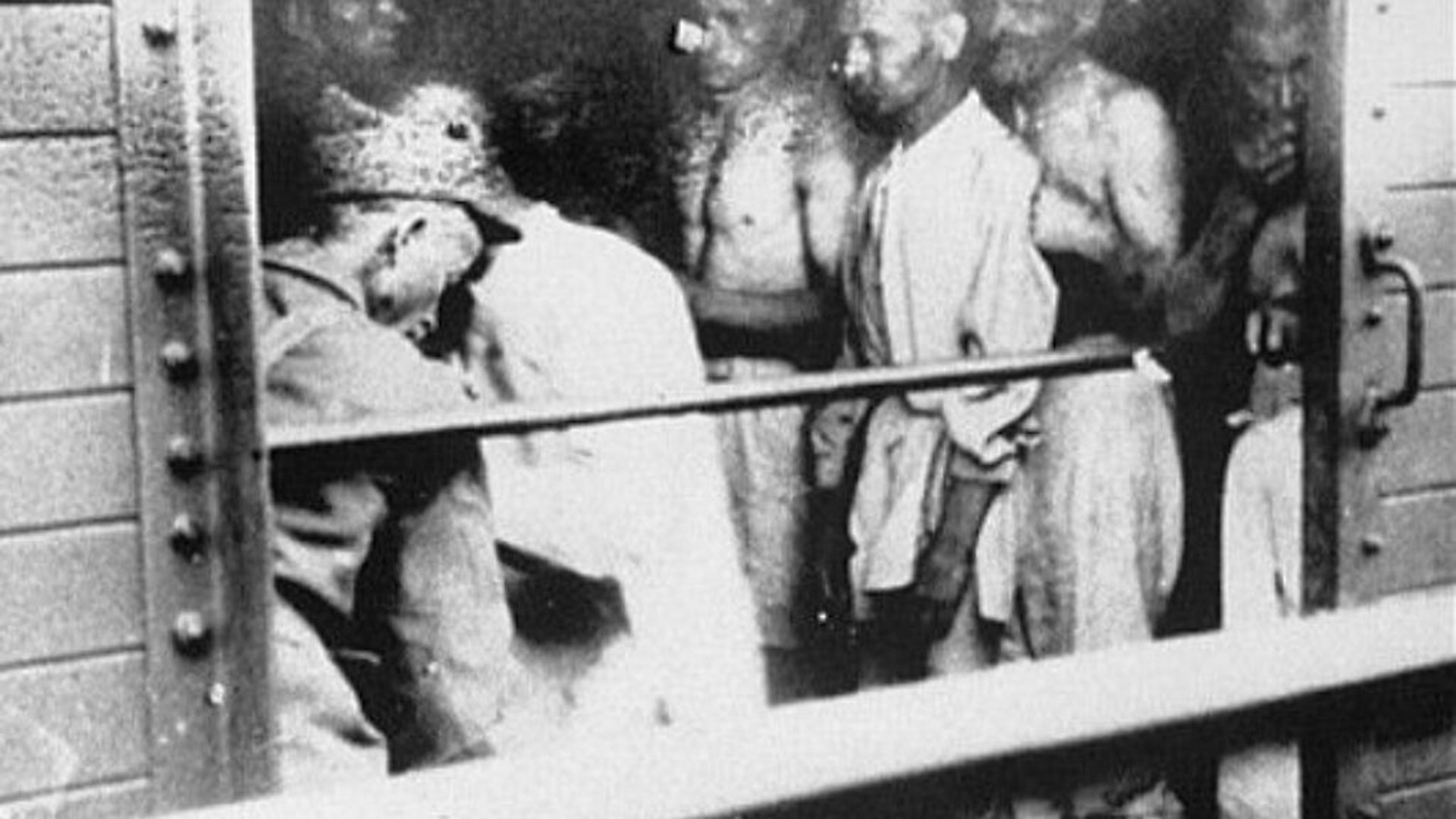 Médicos rumanos examinan a deportados judíos de Iasi en el "Tren de la Muerte" de 1941