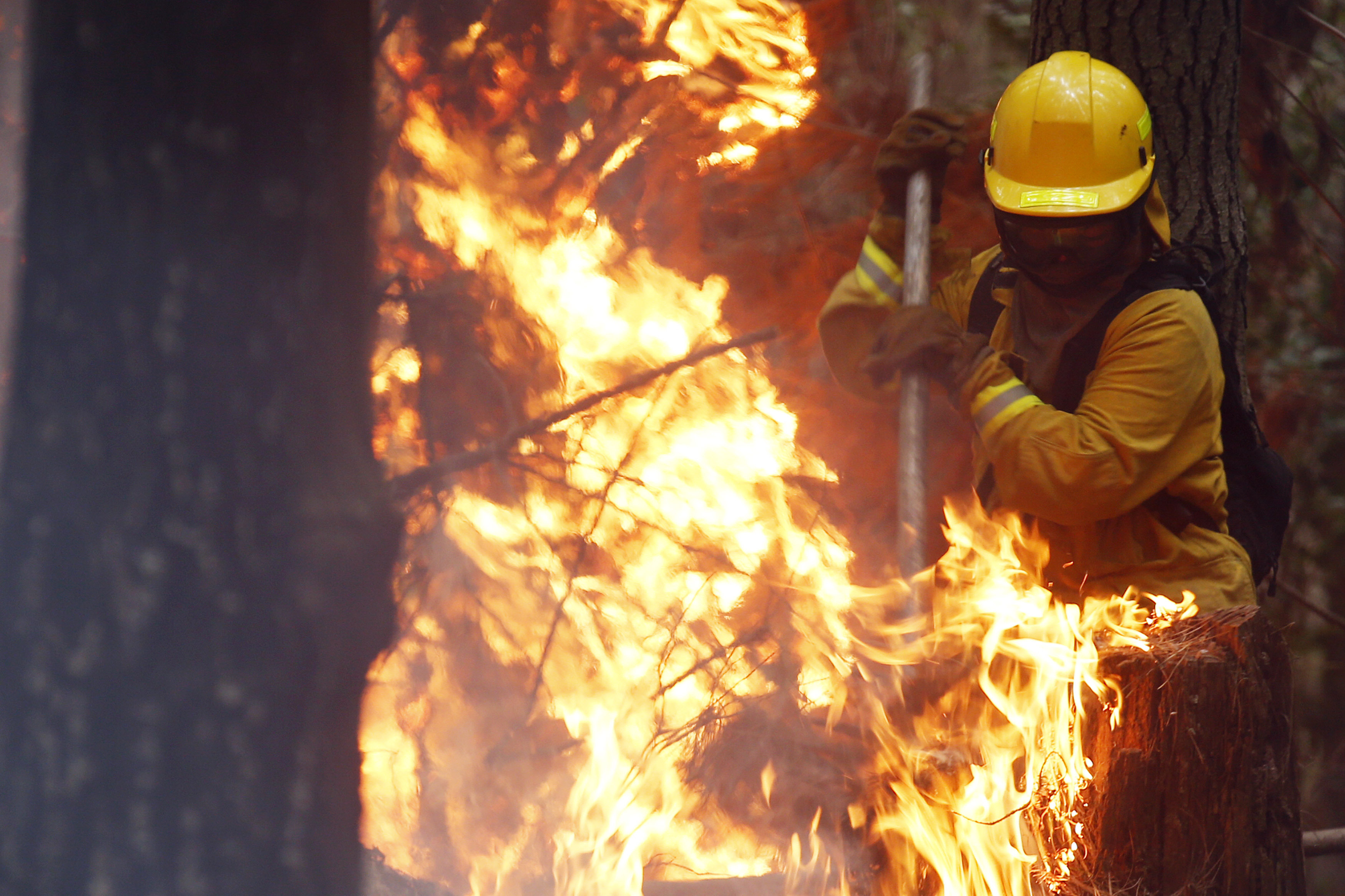 Al menos cinco comuneros de Oaxaca han fallecido mientras participaban en el combate a incendios forestales en lo que va de este 2022 (Foto: EFE/ Elvis González)
