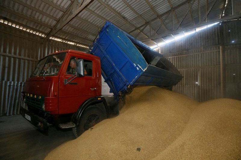 FOTO DE ARCHIVO: Un conductor descarga un camión en un almacén de grano en Ucrania en 2016 (REUTERS/Valentyn Ogirenko)