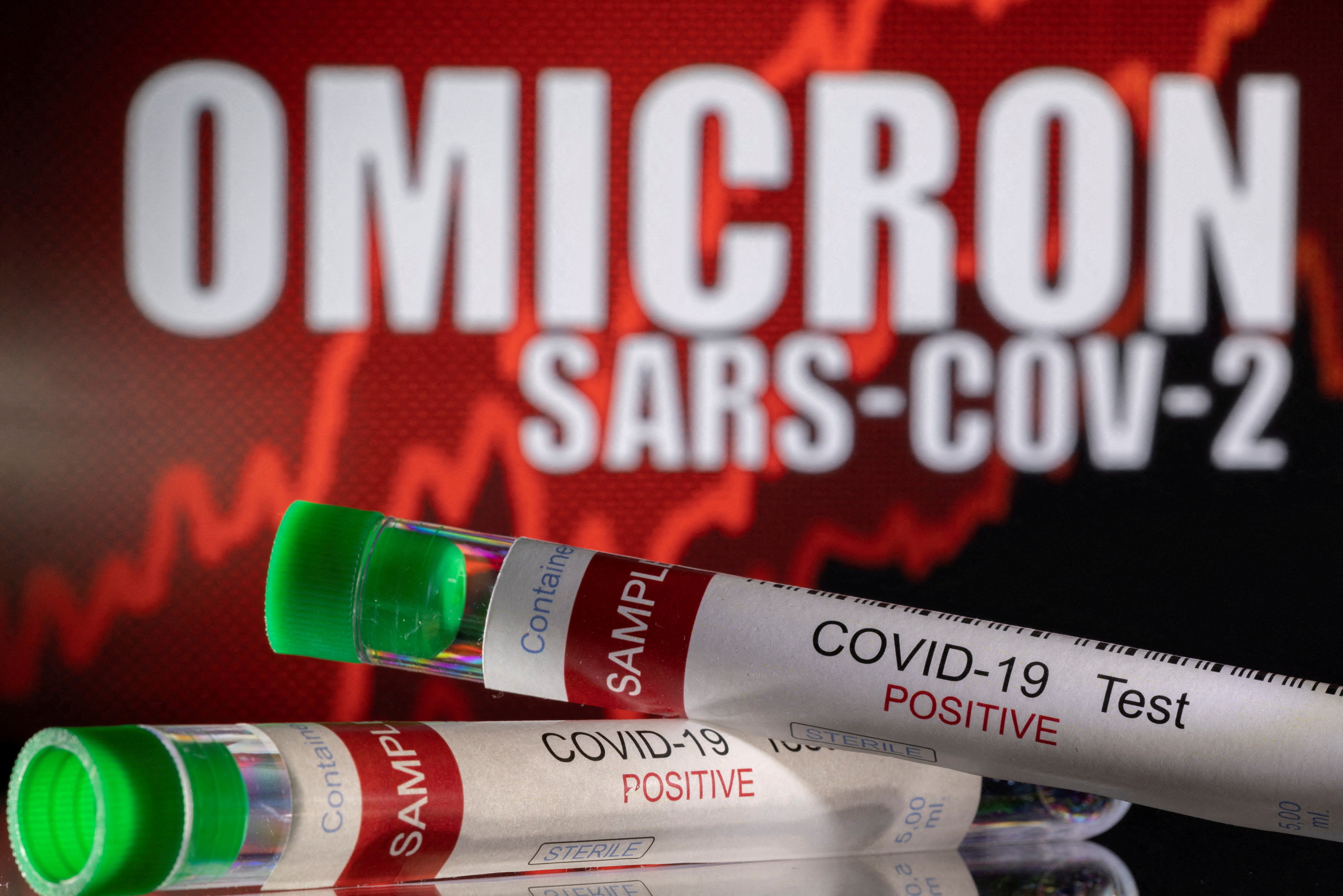Ómicron presenta 50 mutaciones respecto al virus original (REUTERS/Dado Ruvic/)