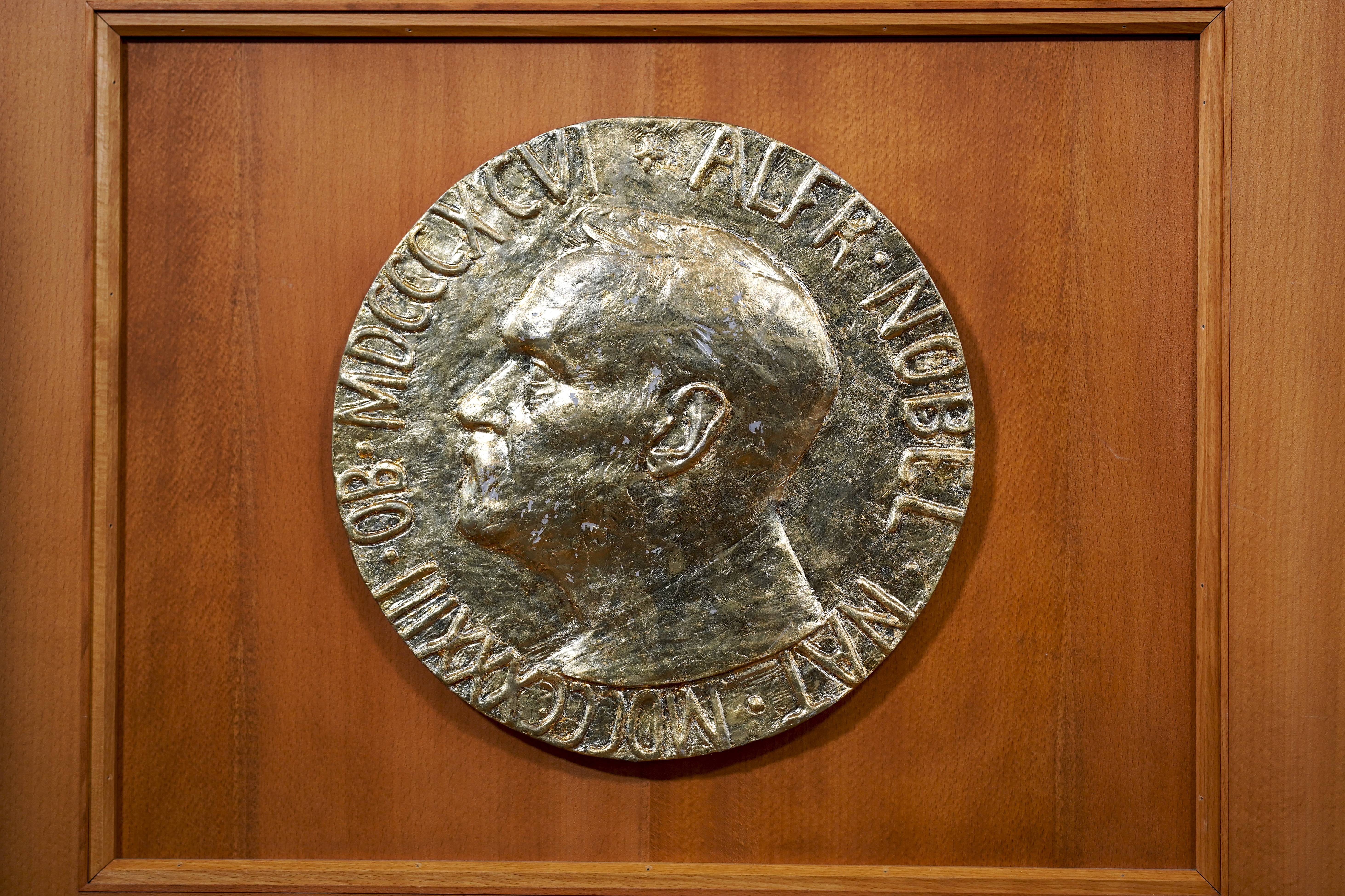 Imagen de archivo de la medalla del premio Nobel. EFE/EPA/Stian Lysberg Solum
